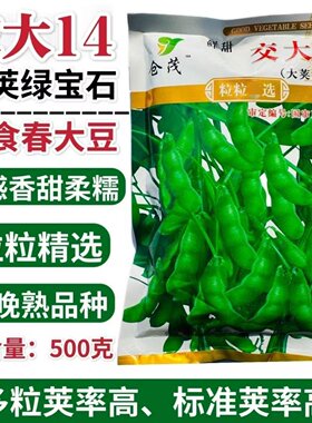 大荚绿宝石交大毛豆种子高产抗病