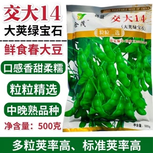 大荚绿宝石交大14毛豆种子中晚熟鲜食高产抗病春秋季大黄豆蔬菜孑