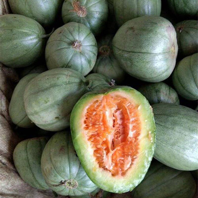 芝麻蜜甜瓜种子脆甜绿皮芝麻酥香瓜种籽春季四季农家菜园水果种孑
