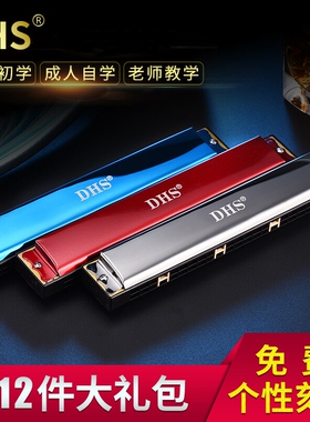 奇美DHS正品24孔复音大C调口琴初学者入门学生儿童宝宝练习用口琴