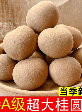 【特AA级】桂圆干超大果干桂圆高州带壳龙眼干2024年新货结婚送礼