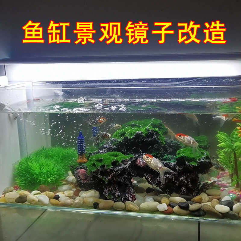 反光可弯曲造景装饰给鱼照镜子