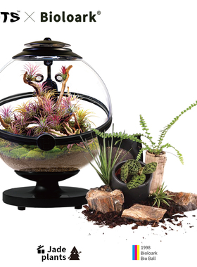 Bioloark生态球亚克力全自动智能定时雾化生态微景观养殖观察器皿
