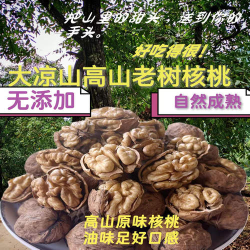 新货大凉山原味生干核桃
