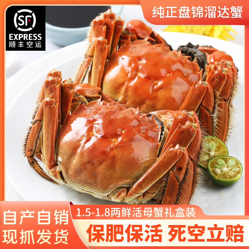 河蟹盘锦鲜活特大礼盒稻田蟹