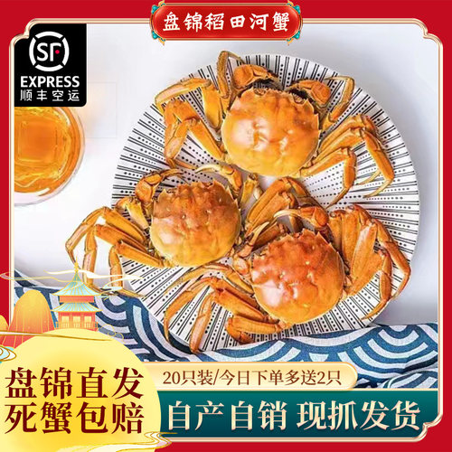 河蟹盘锦鲜活特大礼盒稻田蟹