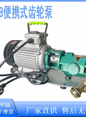 WCB便携式齿轮油泵榨油设备专用泵WCB30-50-75-100高温合金齿轮泵