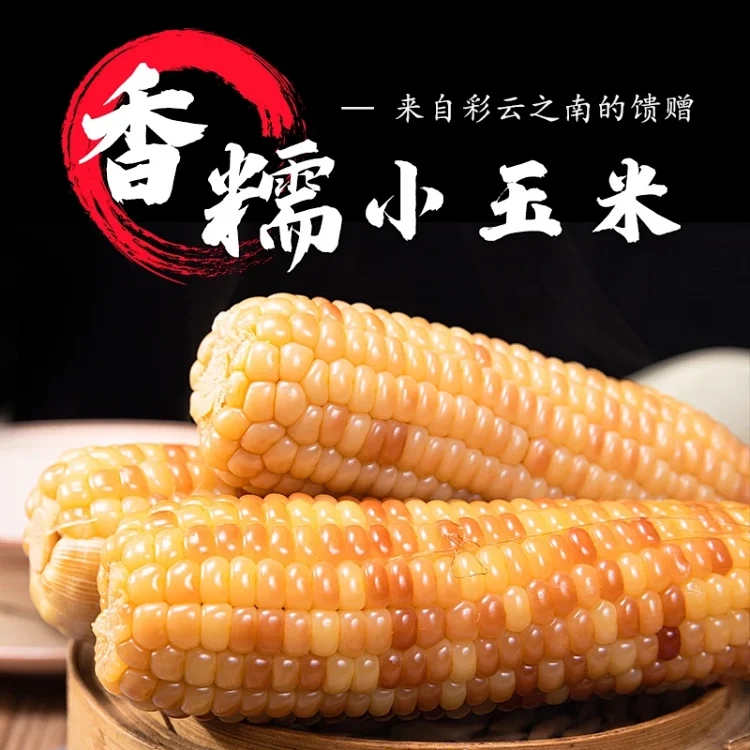 小花糯玉米代餐粗粮玉米棒