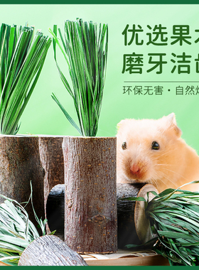 仓鼠磨牙棒磨牙造景用品兔子龙猫荷兰猪金丝熊提摩西苹果树枝零食