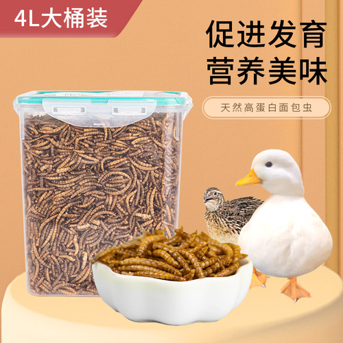 柯尔鸭面包虫干零食芦丁鸡面包虫