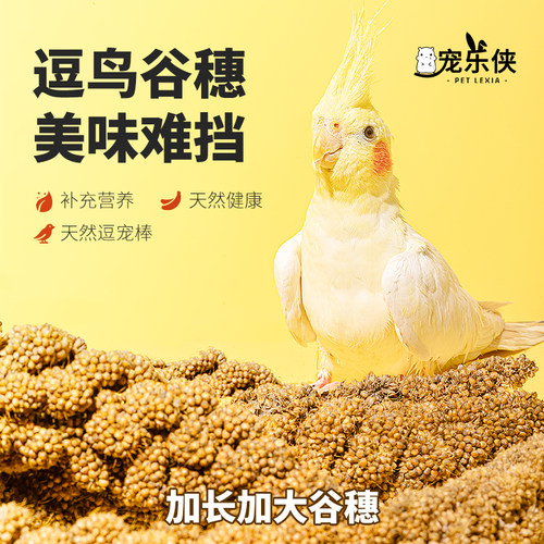 鹦鹉天然谷穗带壳小米玄凤虎皮