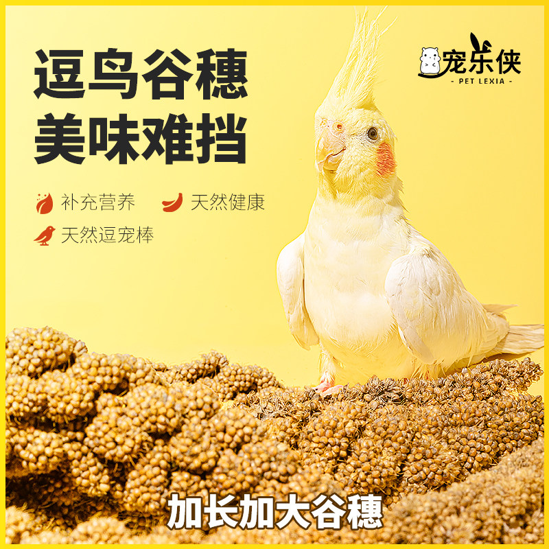 鹦鹉天然谷穗带壳黄谷子小米玄凤虎皮饲料鸟粮鸟食文鸟珍珠鸟零食,宠物/宠物食品及用品,鸟禽其他,淘宝优惠券,粉丝福利购,淘宝优惠卷