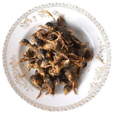 冻干鹌鹑宠物猫咪零食狗冻干粮