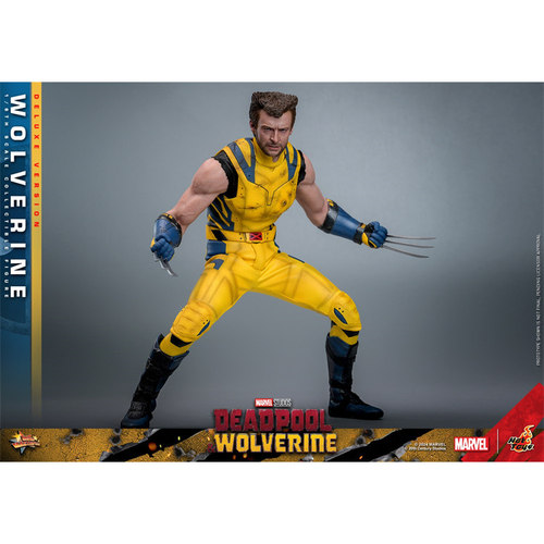 HOTTOYS HT 1/6 MMS754/753 死侍与金刚狼 金刚狼 可动【漫迷坊】