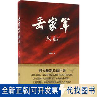 正版全新岳家军：风起9787101117837君天　著中华书局2016-07-01