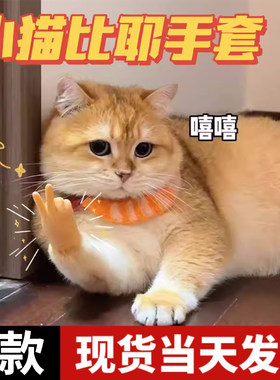 猫手套比耶抖音同款搞笑宠物弹力