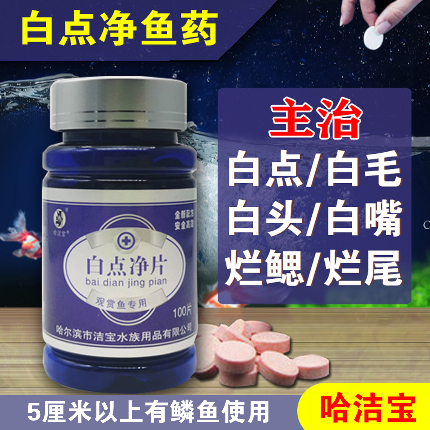 白点净鱼药观赏鱼白点水霉专用
