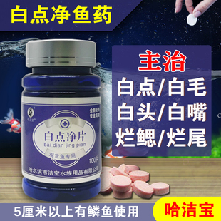 白点净鱼药白点病水霉小瓜虫专用敌百虫锦鲤白毛疾病治疗亚甲基蓝