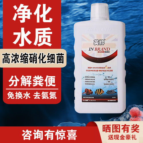 英牌硝化细菌解粪便除氨氨净水剂