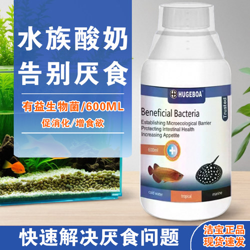 哈洁宝益生菌酸奶促消化增食欲