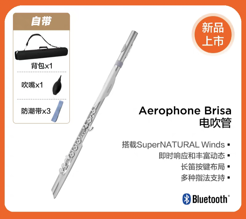 Roland罗兰 AE-BRISA进阶电吹管长笛萨克斯民乐多指法乐器