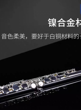 台湾JUPITER杰普特长笛700E 700RE REC 710E 1000RECE键16/17闭孔