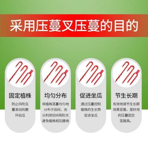 草莓甜瓜西瓜叉子育苗压蔓器压苗叉滴灌带叉子植物固定器生根卡子