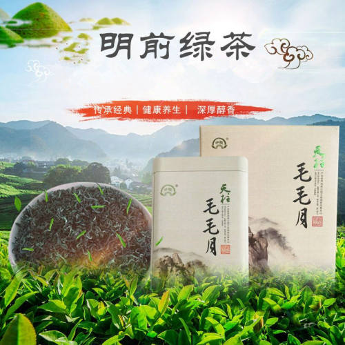 彭河绿茶2026新茶叶天柱山毛毛月