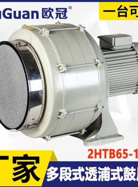 欧冠2HTB65-1005 吹吸两用透浦式鼓风机 气体输送多段式中压风机