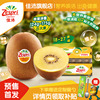 佳沛旗舰店金奇异果22-27#粒黄心猕猴桃
