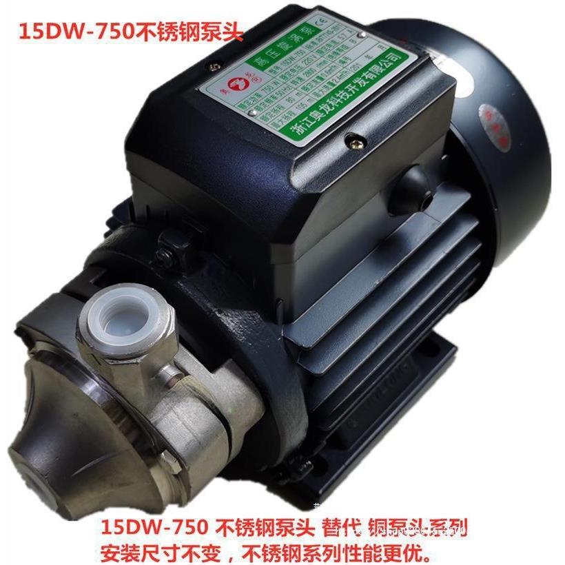 水泵电加热750蒸汽发生器瓦旋涡泵锅炉水泵高压龙15D配件颗粒W