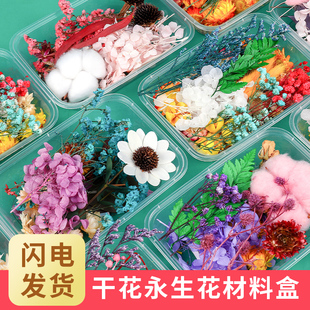 团扇干花材料相框花材团建活动花艺课手工花 浮游永生花diy精致款