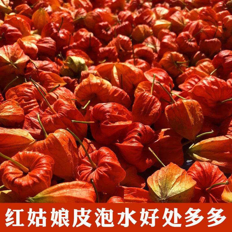 长白山红姑娘果带皮1斤锦灯笼苦姑娘谷鸟挂金灯东北山姑娘中药材