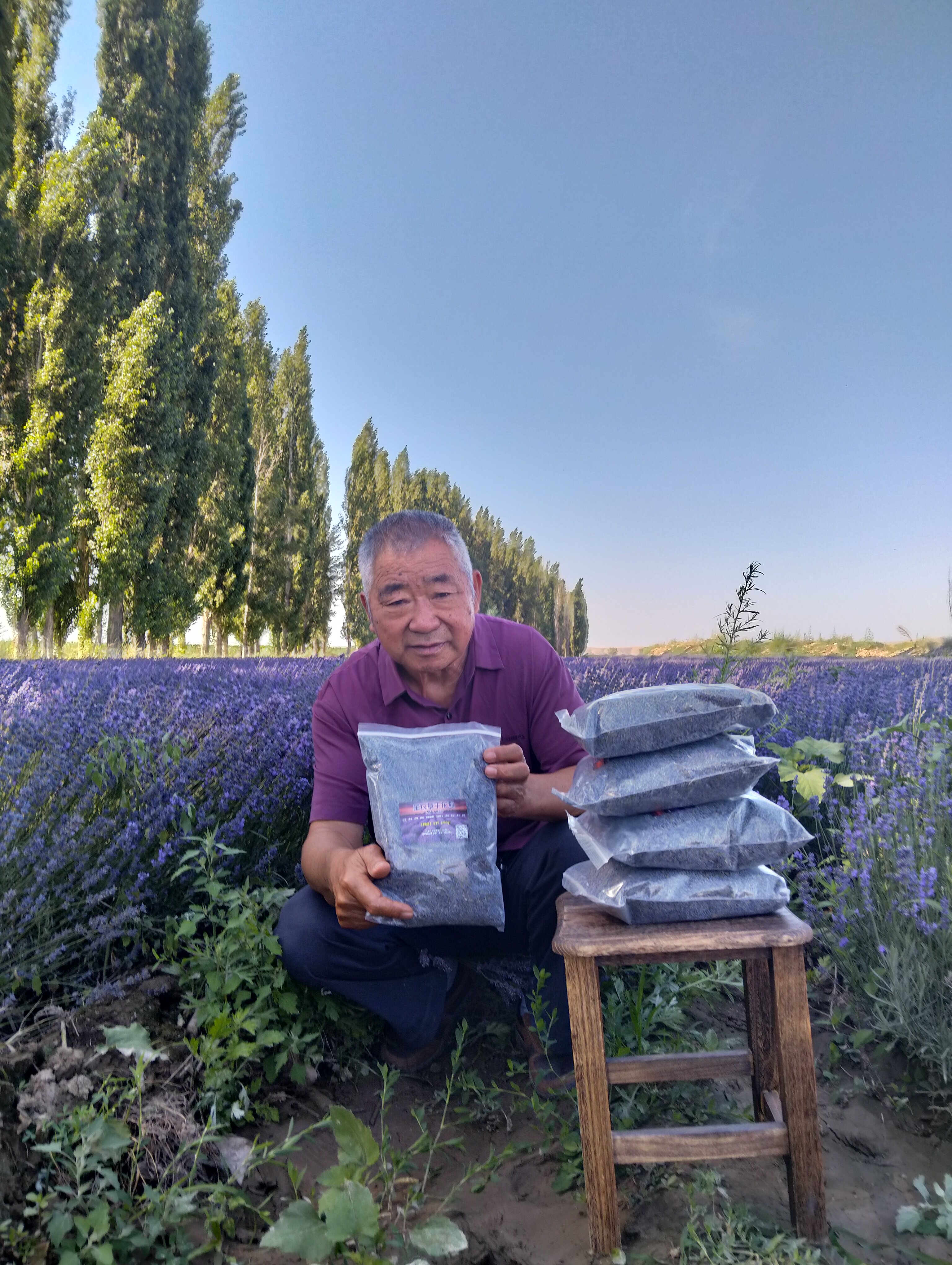至尊特5A级薰衣草2026年头茬雨前新花  新疆伊犁产地直发香囊车载