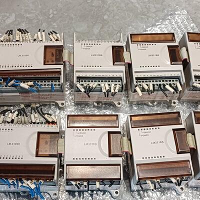 LM3109H LM3316B-C02 LM3313K-B01 PLC 和利时工控模块议价维修