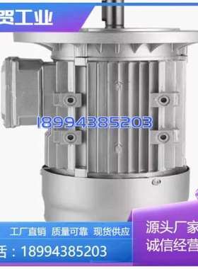 议价NEWSUPERB电机 SINGLE PHASE INDUCTIO维修