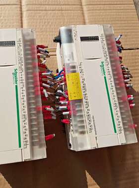 议价施耐德TM218LDA40DR4PHN正常，成色漂亮，只有一维修