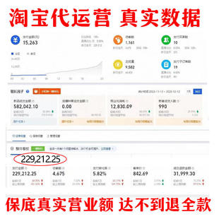 淘宝代运营天猫网店爆款打造 PDD整店托管新开店铺直通车优化推广