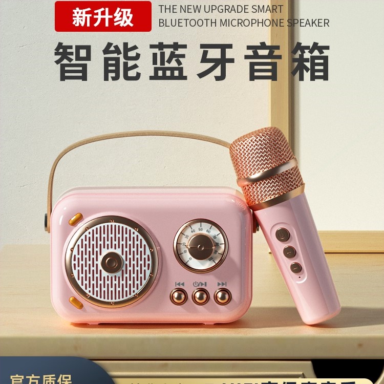 铂典B152蓝牙无线音响高音质k歌器迷你智能小型音箱户外便携式神