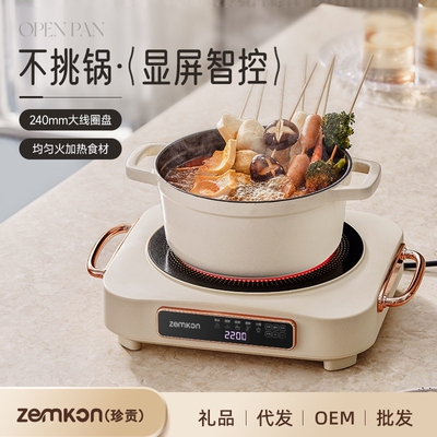 德国Zemkon大功率多功能电陶炉家