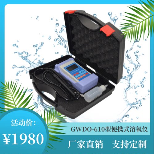 GW溶氧仪溶解氧检测仪污水监测仪