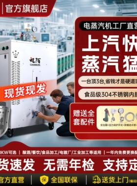 电加热蒸汽机商用变频节