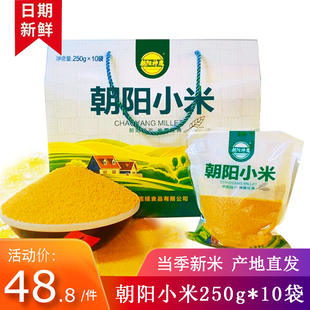 东北黄小米礼盒装250g*10包新米农家小黄米五谷杂粮粗粮小米粥