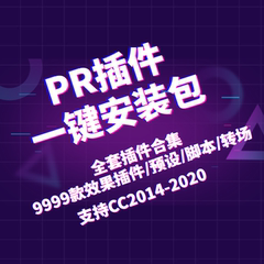 PR2020中文插件合集一键安装包pr调色预设磨皮美白锐化汉化字幕