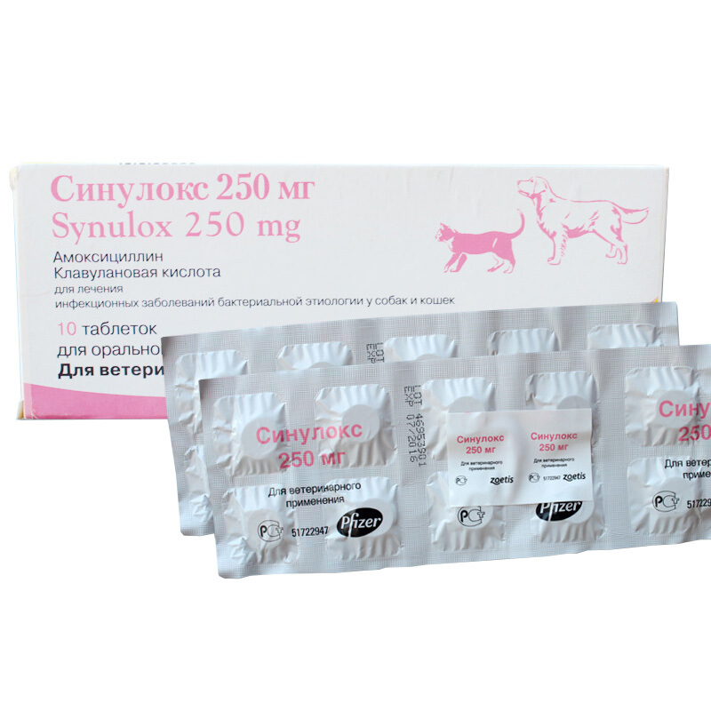 速诺猫 50mg猫鼻支口炎狗狗咳嗽感冒消炎10粒辉瑞synulox速诺片猫
