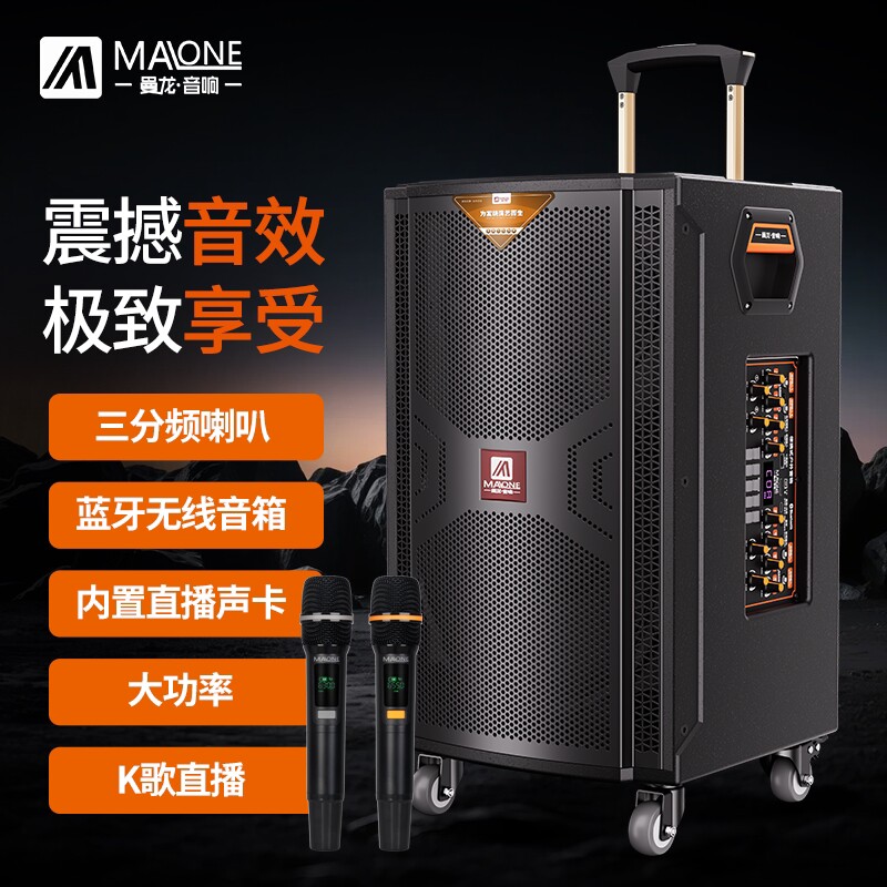 曼龙音箱户外音响k歌大功率专业音箱舞台演出高端广场舞拉杆移动