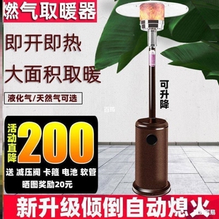 天然气烤火炉液化气暖气家用煤气炉室内商用伞形燃气取暖器取暖