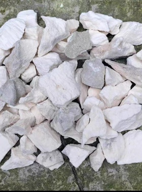 吴定石原石吸水石菖蒲盆金钱附石上水石花盆造景假山观赏石雕摆件