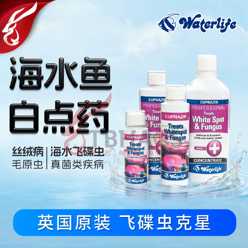 Waterlife海水鱼白点水杀飞碟虫