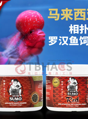 马来西亚进口相扑手罗汉鱼饲料